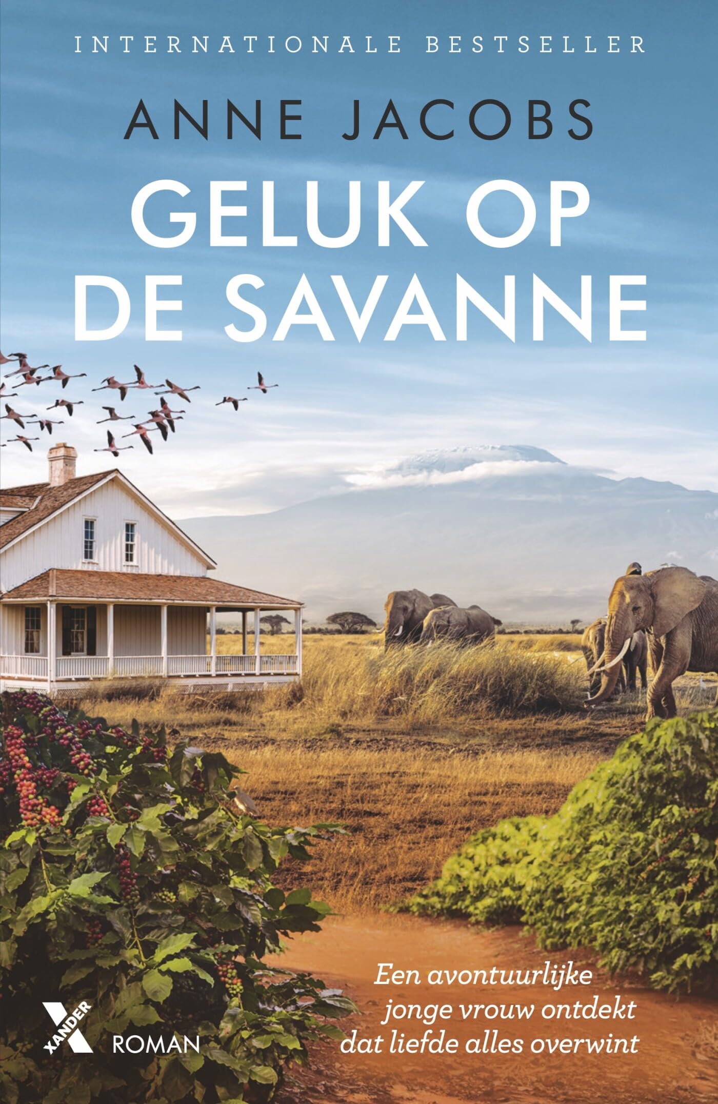 Anne Jacobs - Geluk op de savanne - Preis vom 09.10.2026 07:28:09 h