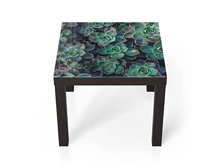 DEQORI Glastisch schwarz klein 55x55 cm Motiv Sukkulente Pflanzen ausgefallener Beistelltisch aus Glas Hochglanz Couchtisch fürs Wohnzimmer moderner Couch Tisch mit Design