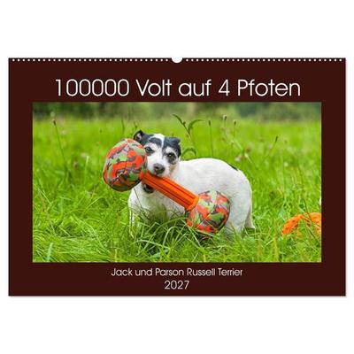 100000 Volt auf vier Pfoten - Jack und Parson Russell Terrier (Wandkalender 2027 DIN A2 quer), CALVENDO Monatskalender