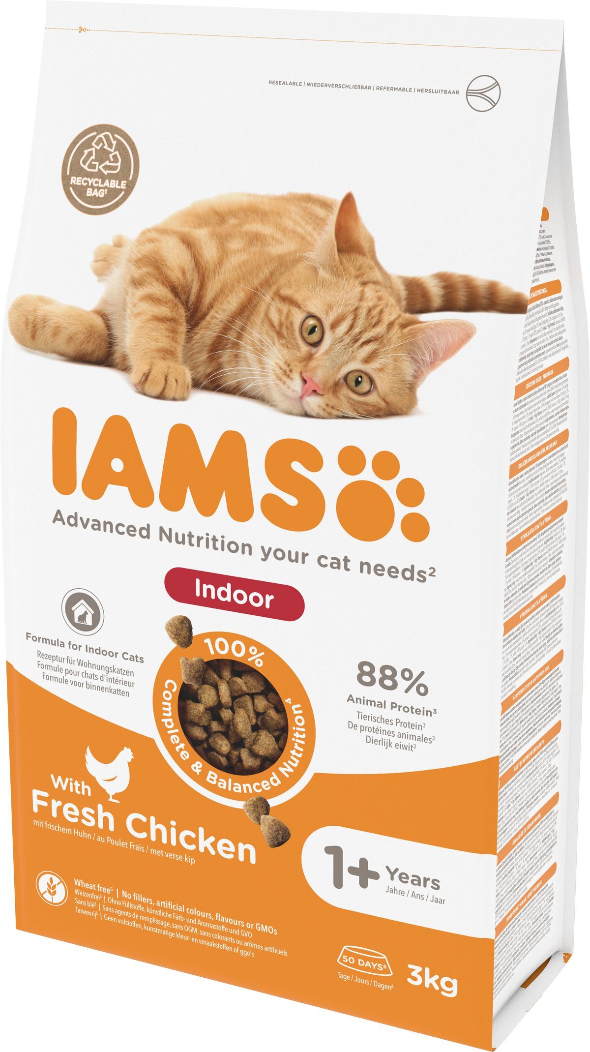 Iams Cat Indoor Pollo 3KG