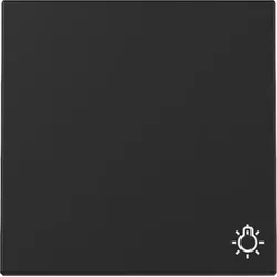 Gira Wippe mit Symbol Licht (schwarz matt)