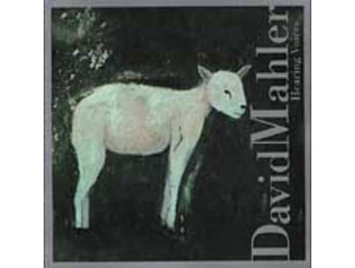 David Mahler - Hearing Voices
