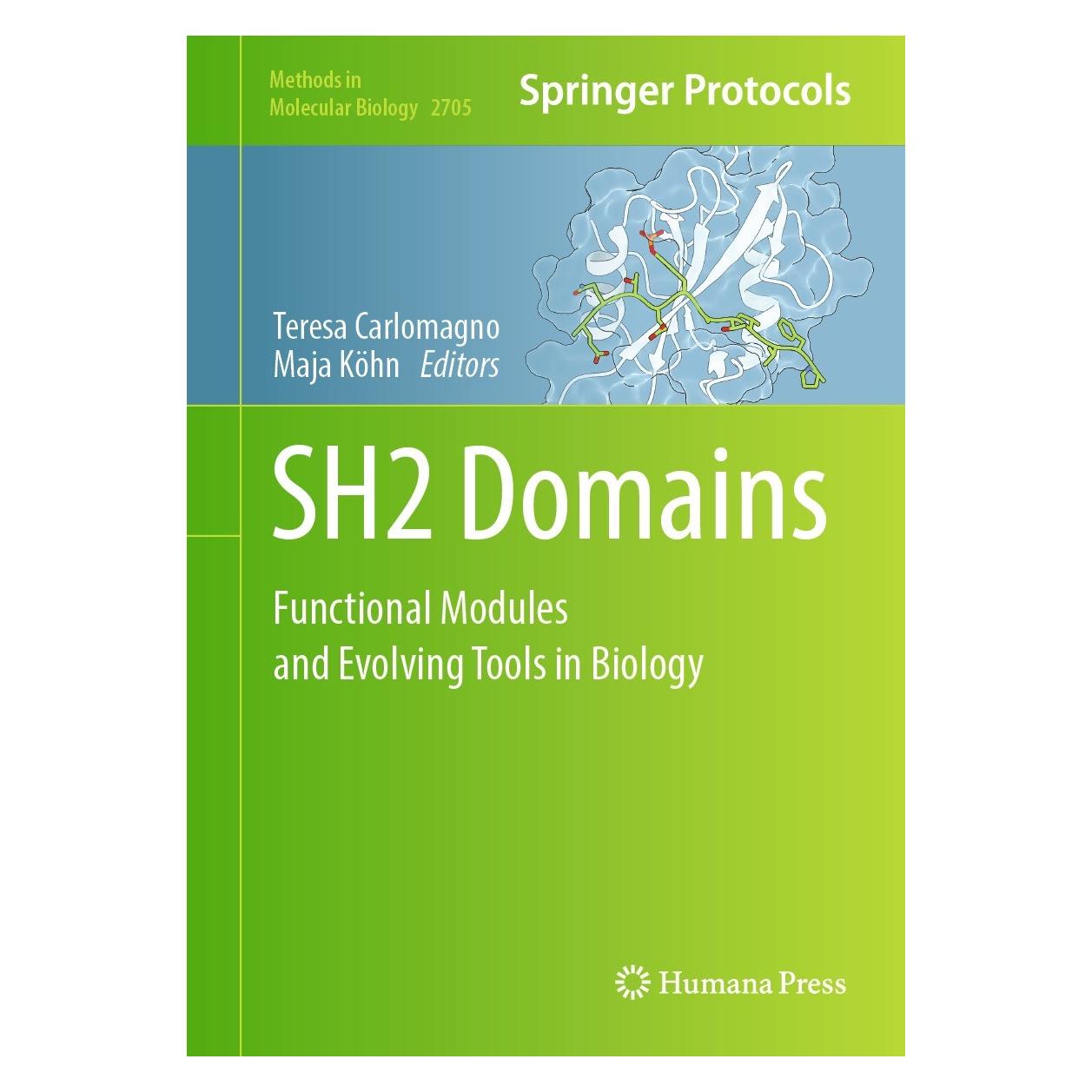 Springer SH2 Domains (Englisch, Hardcover, Maja Köhn, Teresa Carlomagno) (9781071633922)