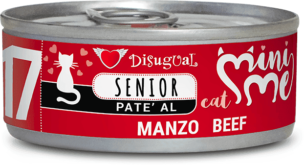 Disugual Mini Me 17 Senior Beef 12 uds x 85g