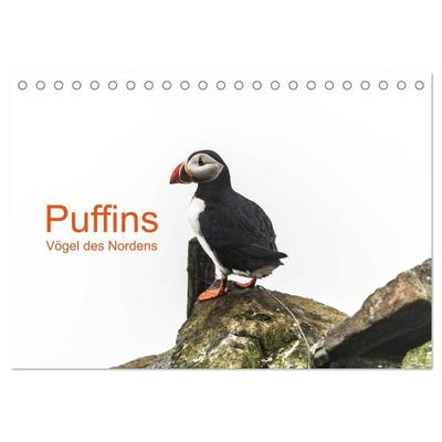 Puffins - Vögel des Nordens (Tischkalender 2027 DIN A5 quer), CALVENDO Monatskalender