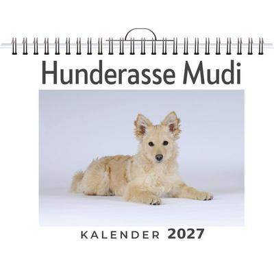 Hunderasse Mudi