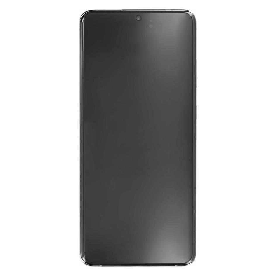 Samsung Display - Einheit G988B Galaxy S20 Ultra / 5G grau GH82-26032B (Keine Kamera) (Display, Samsung Galaxy S20 Ultra, Samsung Galaxy S20 Ultra 5G) (GH82-26032B, GH82-26033B)