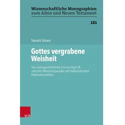 Gottes vergrabene Weisheit, Fachbücher von Yannick Schanz