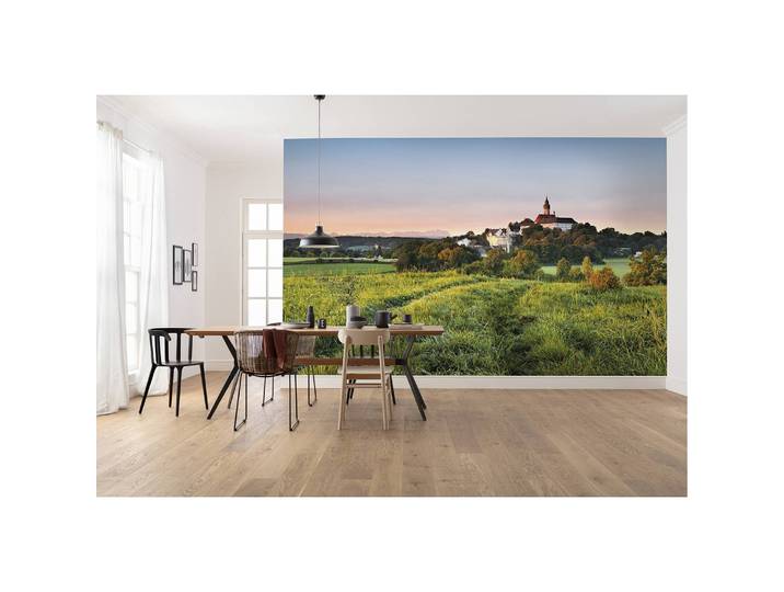 Papier peint intissé Divin 450 x 280cm