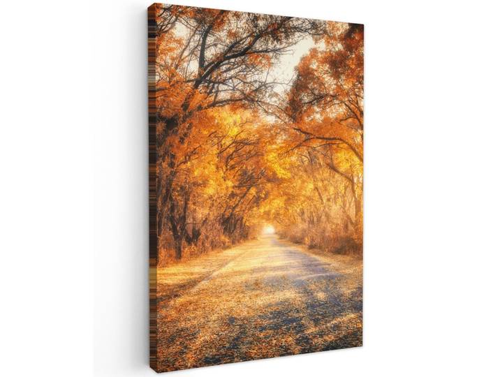 LEINWANDBILD Wald - Herbst - Bäume - Waldweg - Natur Wanddeko Schlafzimmer 60x90 cm