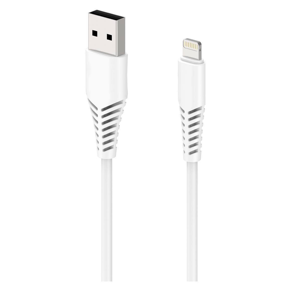 2GO 797288 USB Kabel USB B Lightning (1 m) (797288)
