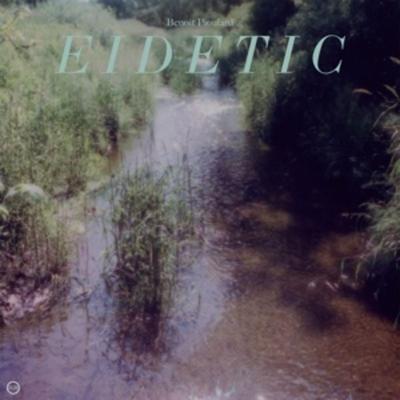 Eidetic - Benoit Pioulard, Vinyl