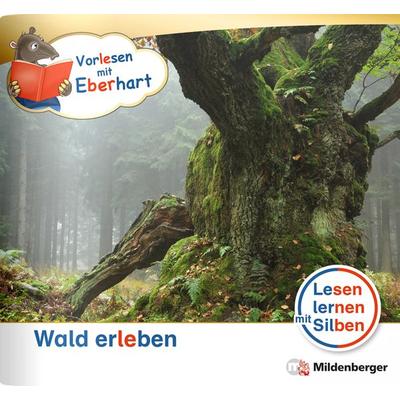 Vorlesen mit Eberhart – Wald erleben – Nachbezug Einzelheft, Geheftet von Nicole Brandau,Stefanie Drecktrah, Mildenberger Verlag GmbH,