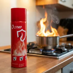 Feuerlösch Spray (500ml) für Küche, Haus, Camping – Universal Feuerlöscher, Einfache Bedienung, Kühlt effektiv, Geprüft nach BS 6165:2002 – Maximale Sicherheit