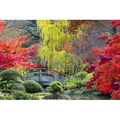 Fototapete PAPERMOON "GARTEN-NATUR WALD BÄUME HERBSTLANDSCHAFT BLUMEN SEE XXL", bunt, B:2m L:1,49m, Vlies, Tapeten