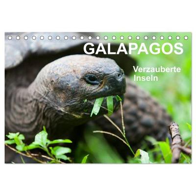 Galapagos. Verzauberte Inseln (Tischkalender 2026 DIN A5 quer), CALVENDO Monatskalender