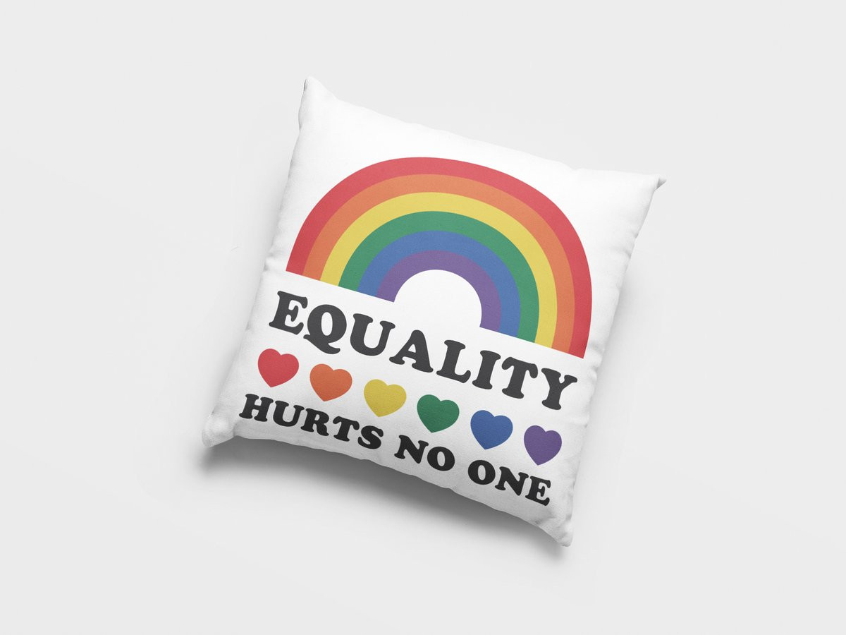 Sierkussen Gelijkheid Doet Niemand Pijn Regenboog Pride LGBTQIA+ Woonaccent