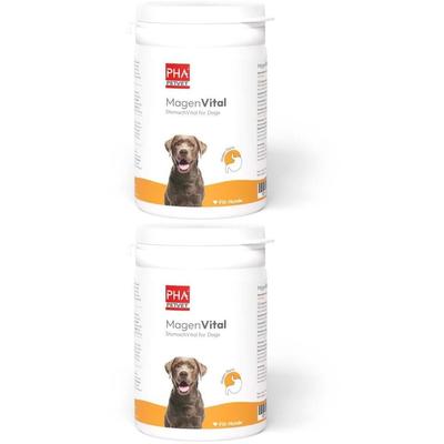 PHA MagenVital Pulver f.Hunde 2x 2x200 g