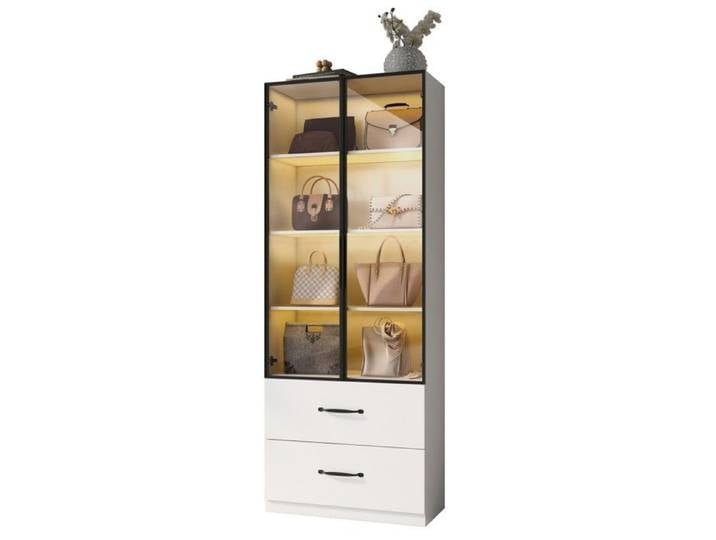 Vitrine LED 60x40x160cm Bibliothèque Multifonctionnelle Verre Trempé Aluminium Tiroirs LED Multicolores Fermeture Douce Blanc