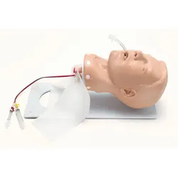 Hochwertiger und vielfältiger Intubationstrainer Erwachsener