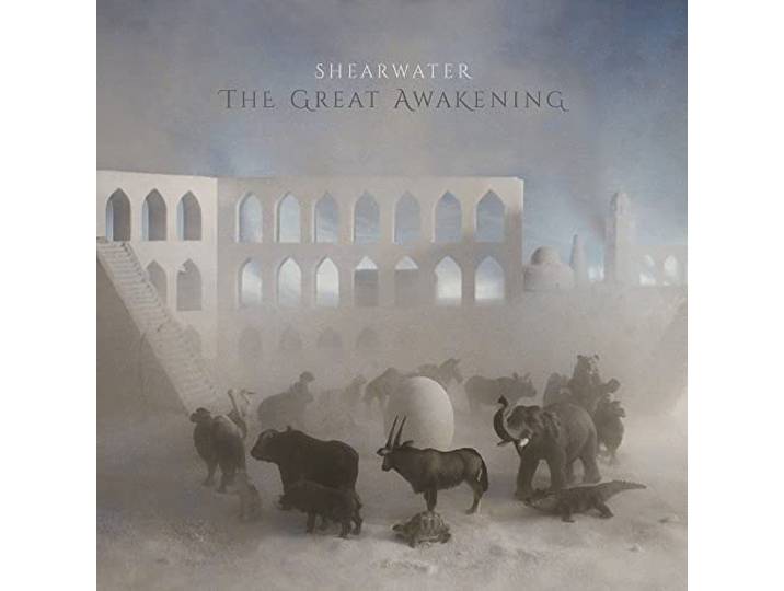 The Great Awakening