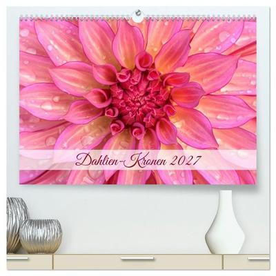 Dahlien-Kronen (hochwertiger Premium Wandkalender 2027 DIN A2 quer), Kunstdruck in Hochglanz