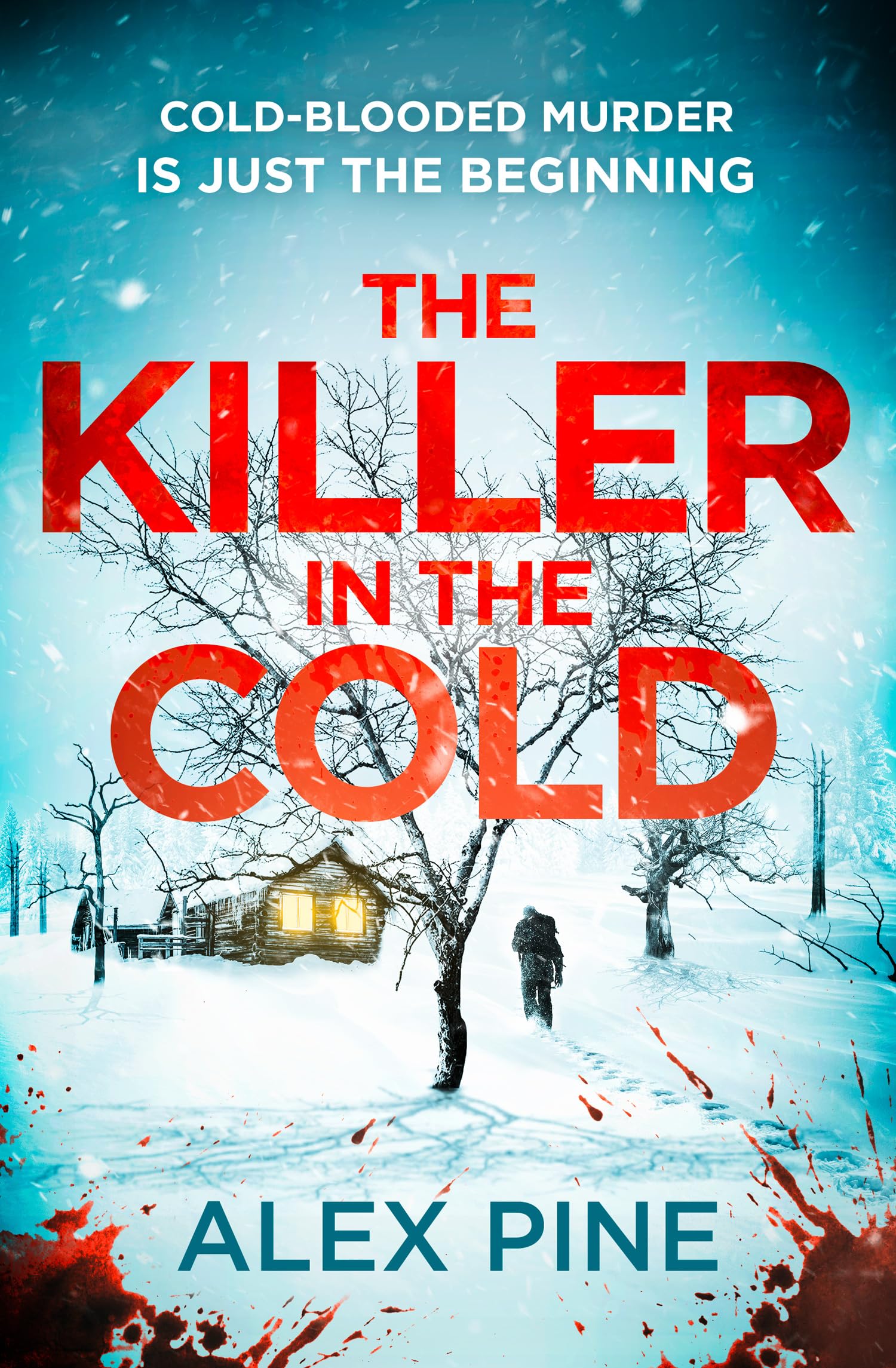 Alex Pine - The Killer in the Cold: Uncover the chilling NEW thriller you need (DI James Walker series) - Preis vom 09.10.2026 07:28:09 h