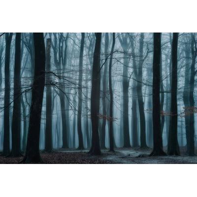 Fototapete PAPERMOON "Photo-Art ELLEN BORGGREVE, WIR ALLE", bunt, B:3,5m L:2,6m, Vlies, Tapeten