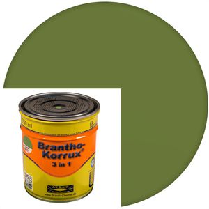 Branth Branth Rostschutzfarbe  o-Korrux 3 in 1, resedagrün, RAL 6011, seidenglänzend, 0,75l