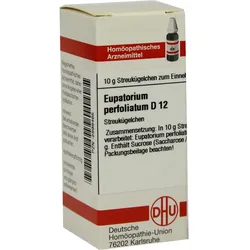 Eupatorium Perf D12 10 G