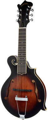 Gold Tone F-6 Sunburst Satin