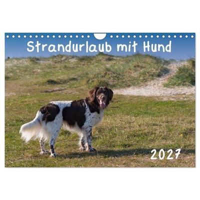 Strandurlaub mit Hund (Wandkalender 2027 DIN A4 quer), CALVENDO Monatskalender