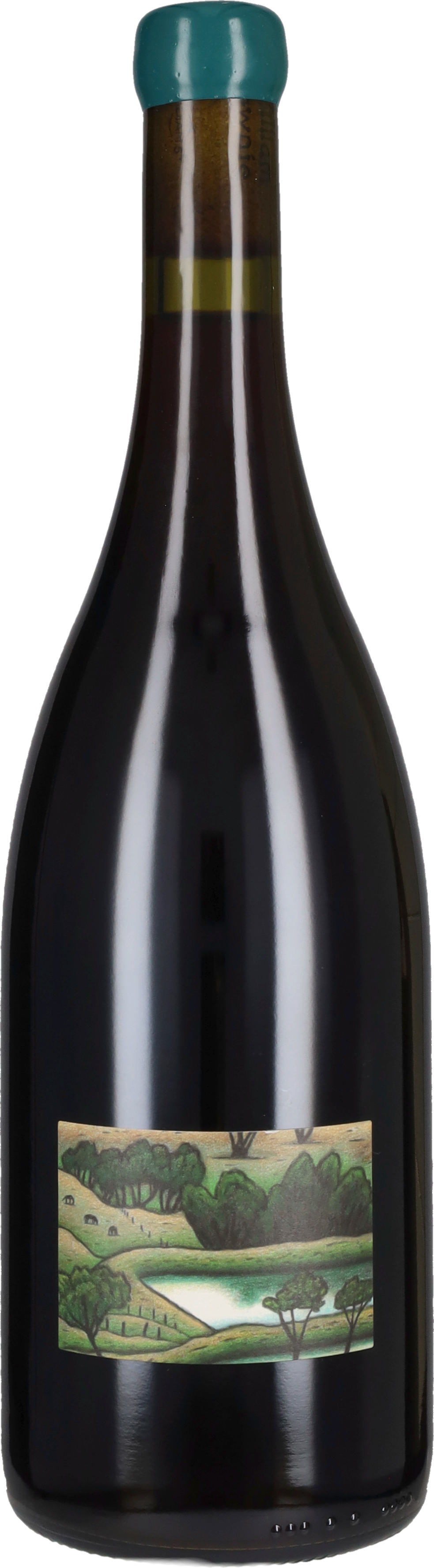Pinot Noir 'Bull Swamp' William Downie 2021