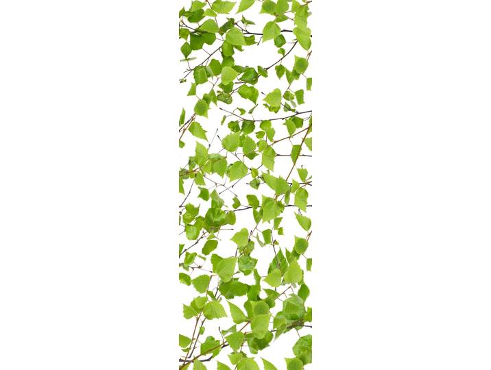 Vinyltapete QUEENCE Fenna , grün, B:0,9m L:2,5m, Vinyl, Tapeten, Vinyltapete, 90x250cm, selbstklebend, kinderleichte Anbringung,, Sticker