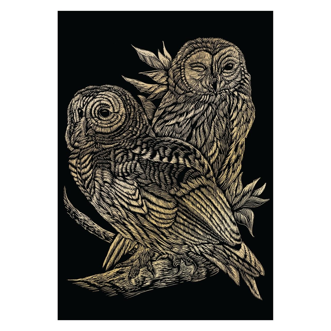 Pracht Kratzbild Eulen gold 20x25cm (72745577)