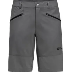 JACK WOLFSKIN Herren Shorts HIKING ALPINE SHORT M, Größe 48 in Grau Grau