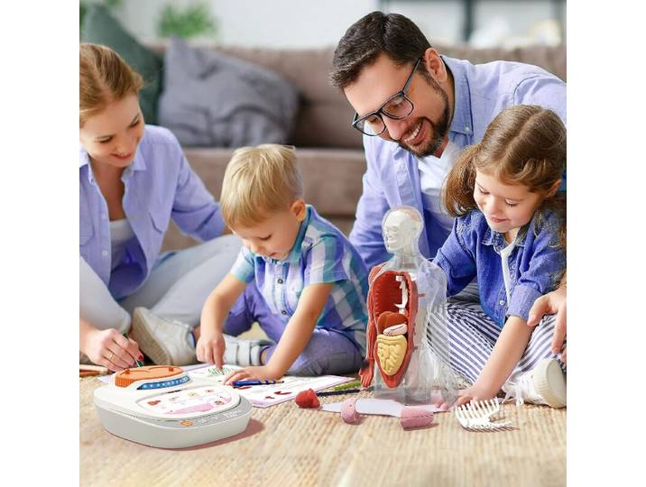 Science Can Kids pratende menselijke anatomie-model STEM-speelgoedset, 30 cm, vanaf 6 jaar, Nieuwjaarsverkoop, top cadeaukeuzes