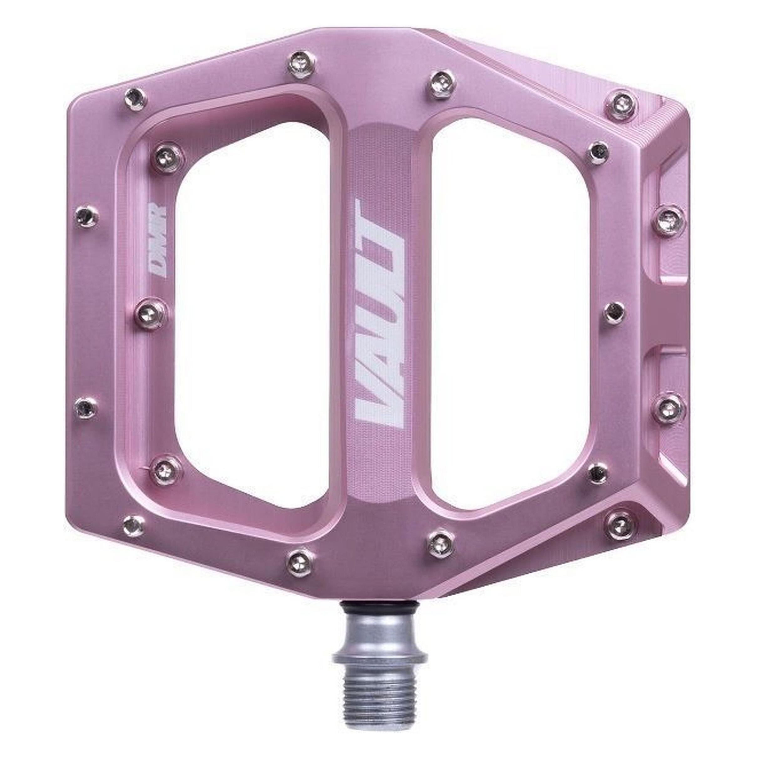 DMR Vault (DMR-VAULT-PI2)