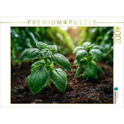 CALVENDO Puzzle Frischer Basilikum wächst im Gartenbeet | 2000 Teile Lege-Größe 90x67cm Foto-Puzzle für glückliche Stunden