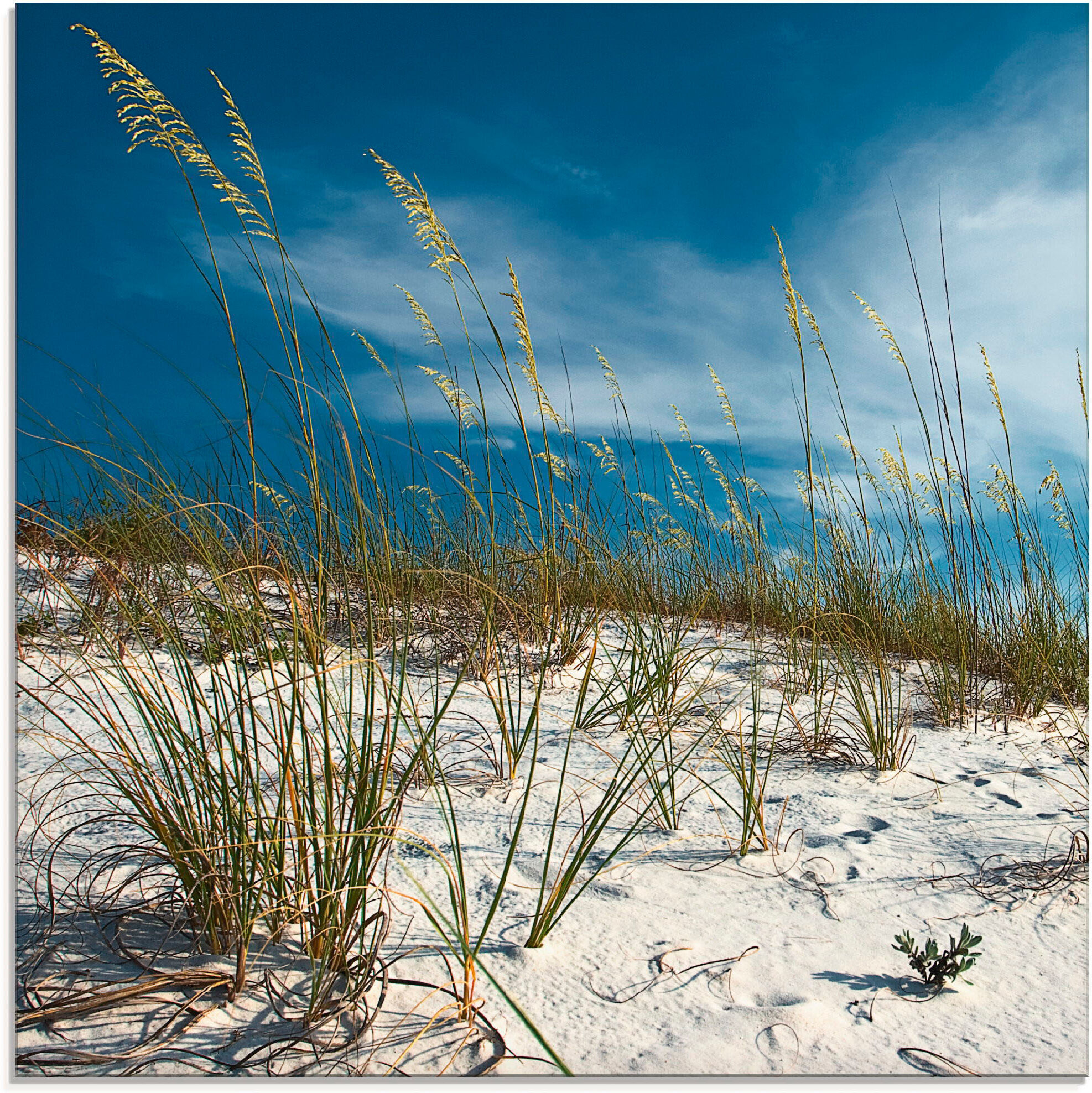 Glasbild ARTLAND "Sanddüne und Gräser", blau (farbe bild(er): blau), B:50cm H:50cm, Bilder, Glasbild, in verschiedenen Grössen farbe bild(er): blau B/H/T: 50cm x 50cm, Glasbild Strand, 1 Stk.