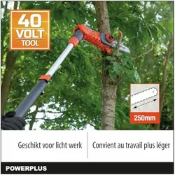 Powerplus, Kettensäge, Dual Power Kettensäge teleskopisch 40V 250mm - exkl. Akku und Ladegerät - 1 Acc. (Akku Kettensäge)