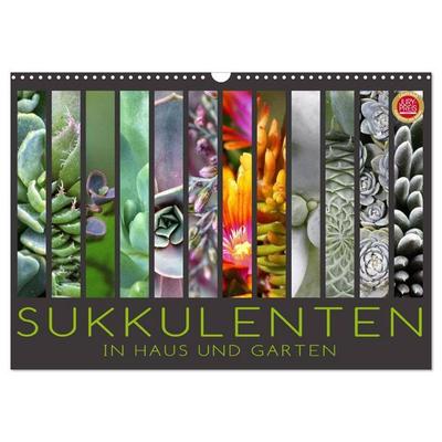 Sukkulenten in Haus und Garten (Wandkalender 2026 DIN A3 quer), CALVENDO Monatskalender