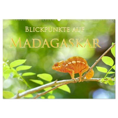 Blickpunkte auf Madagaskar (Wandkalender 2027 DIN A2 quer), CALVENDO Monatskalender