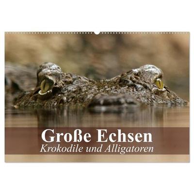 Große Echsen. Krokodile und Alligatoren (Wandkalender 2026 DIN A2 quer), CALVENDO Monatskalender
