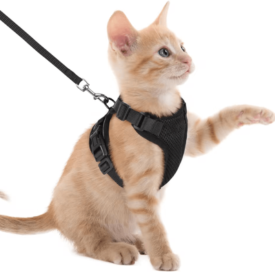 Inspire Curations Reflective Escape Proof Cat Harness & Leash Set For Safe Outdoor Adventures black xs
