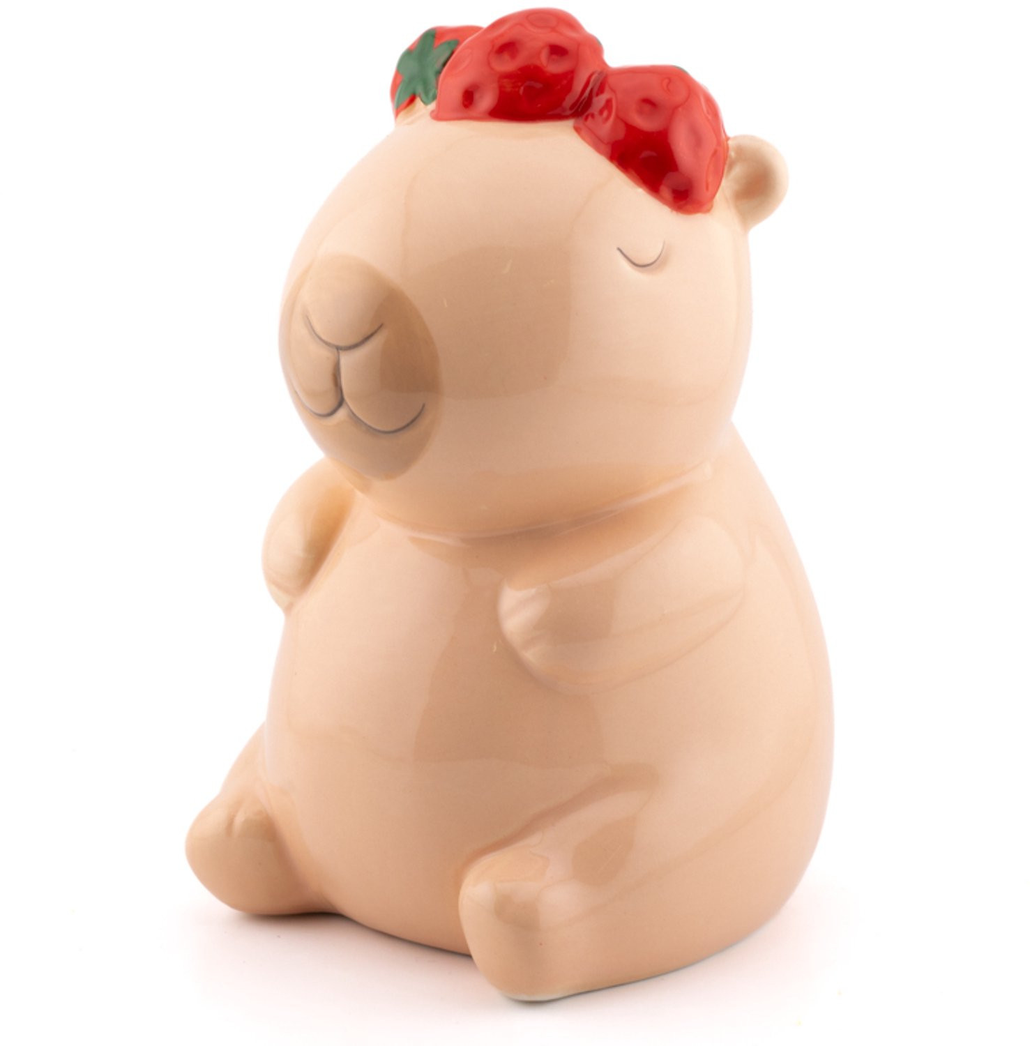Spaarpot Capibara van Homebound by Ky voor volwassenen
