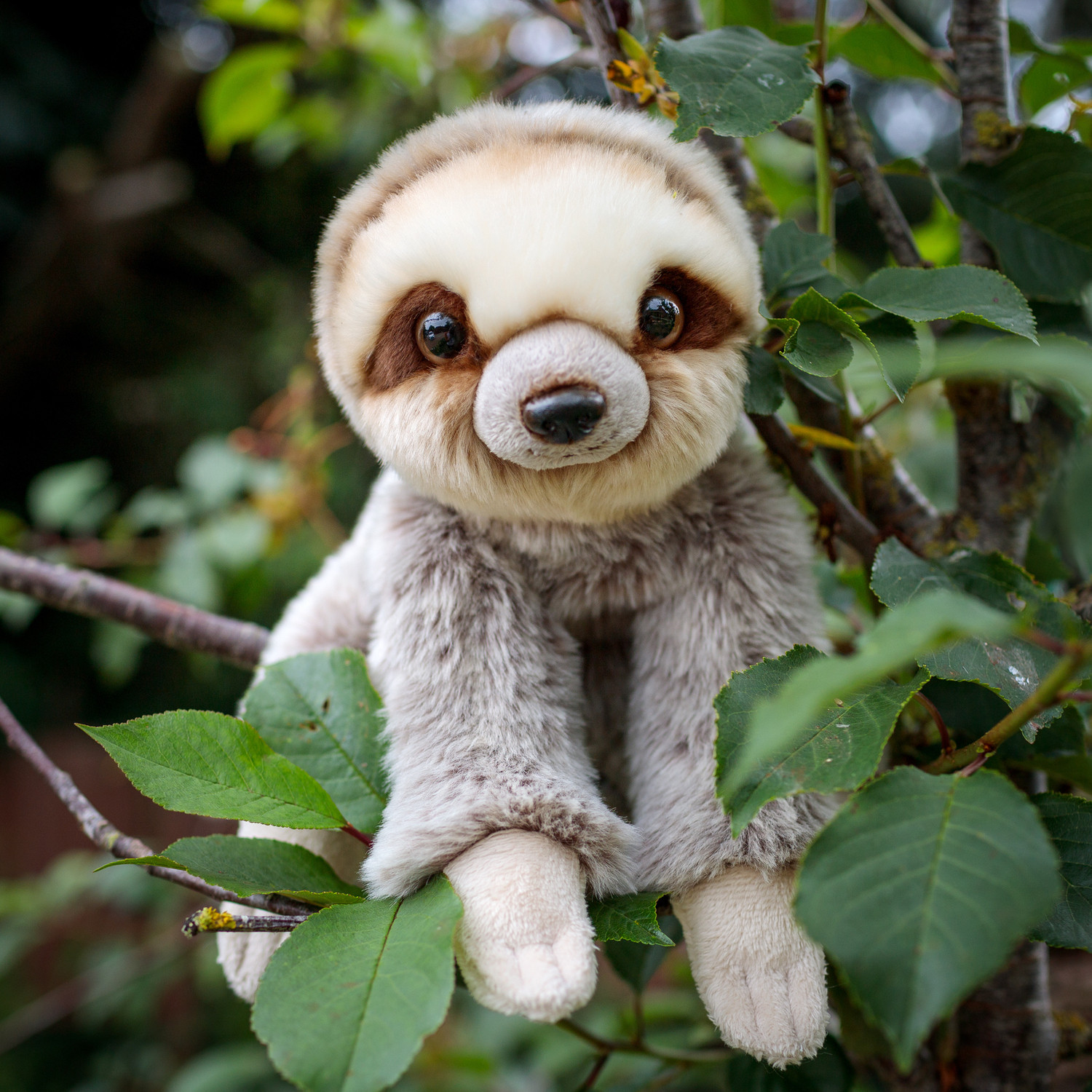 Tobar Knuffel Luiaard van Pluche, 23 cm