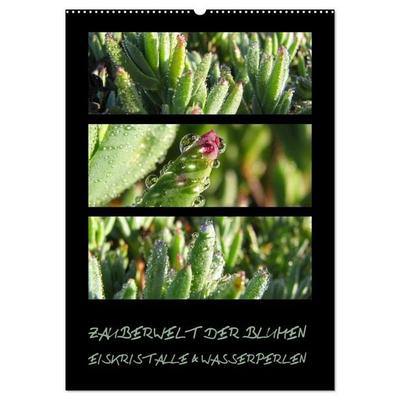 ZAUBERWELT DER BLUMEN - EISKRISTALLE & WASSERPERLEN (Wandkalender 2027 DIN A2 hoch), CALVENDO Monatskalender