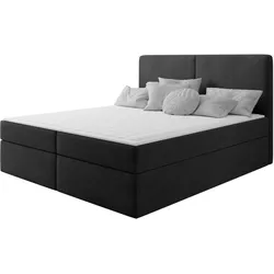 BOXBETT Claire - H3