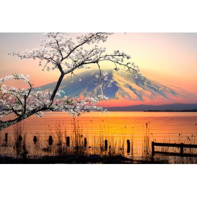 Fototapete PAPERMOON "See vor Mount Fuji", bunt, B:2,5m L:1,86m, Vlies, Tapeten